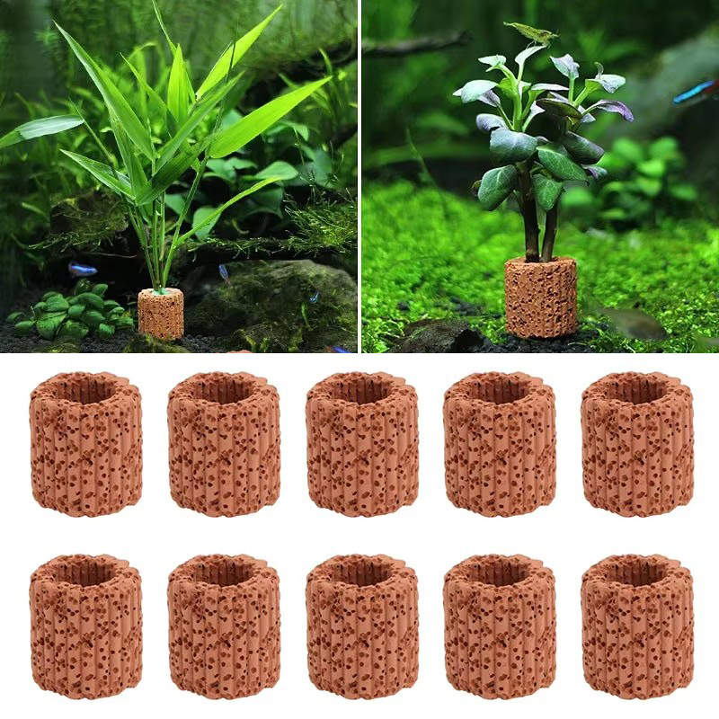 Aquarium Innovative Marine - Anneau fixe pour plantes aquatiques, pour