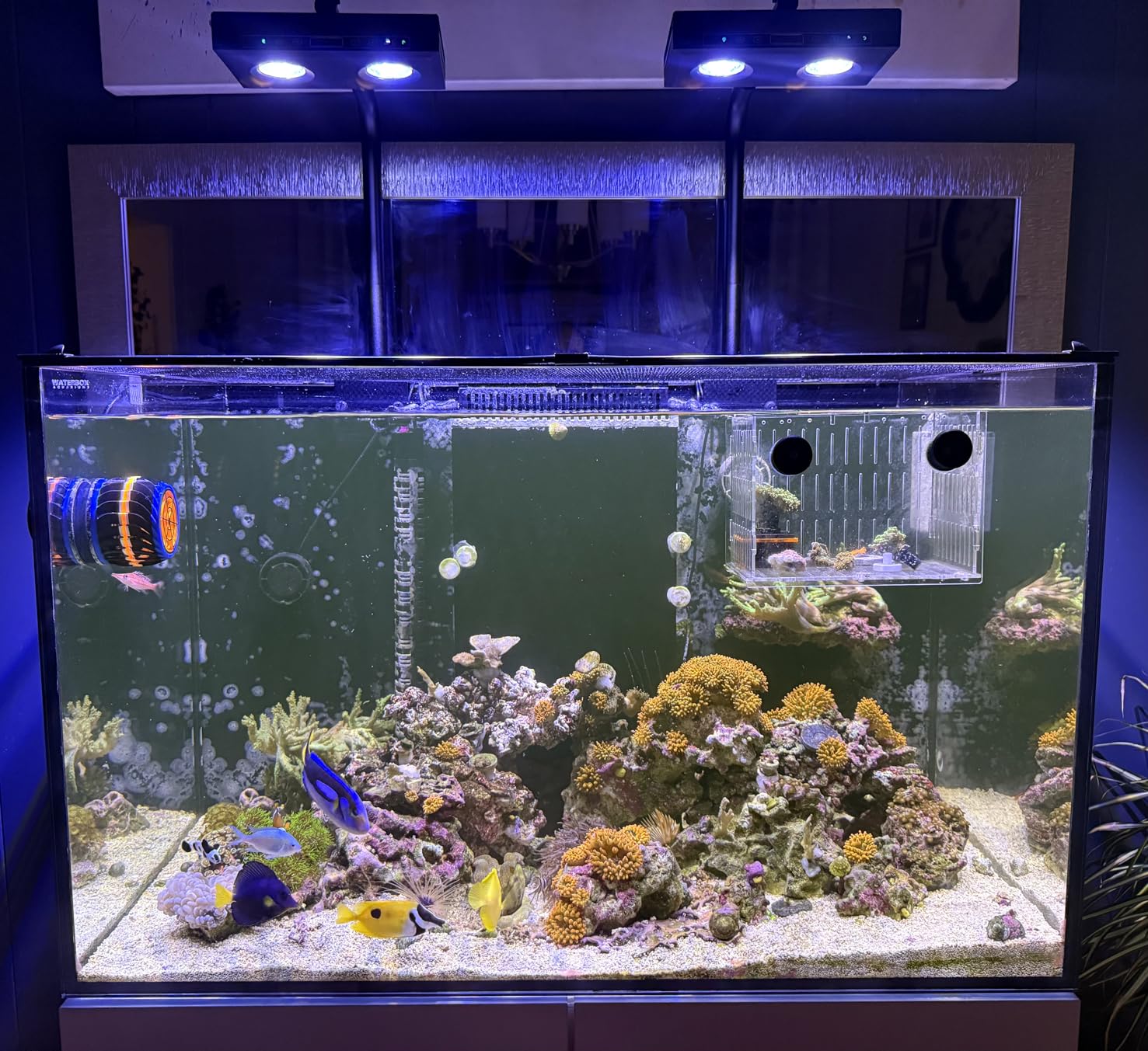 Aqua Marine Tank - Lampe LED pour aquarium haute puissance