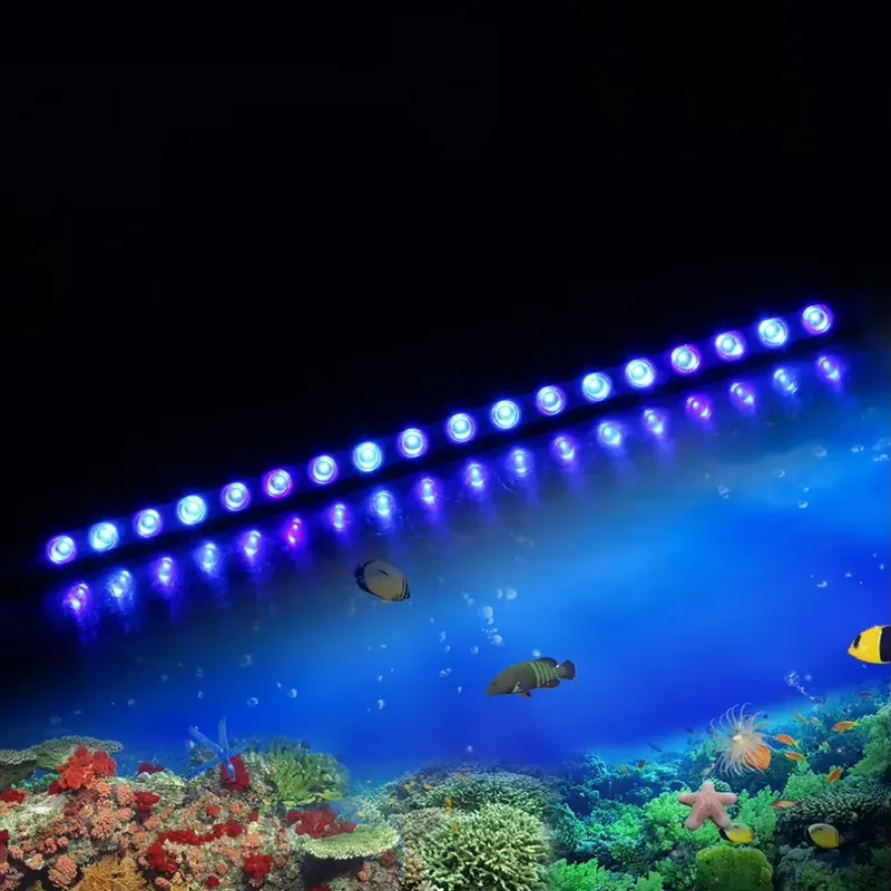 Marine Aquarium Timing - Lumière LED pour aquarium marin à