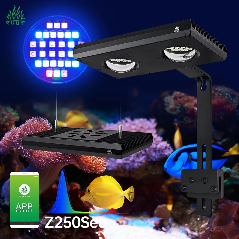 Aqua Marine Tank - Lampe LED pour récif marin Week