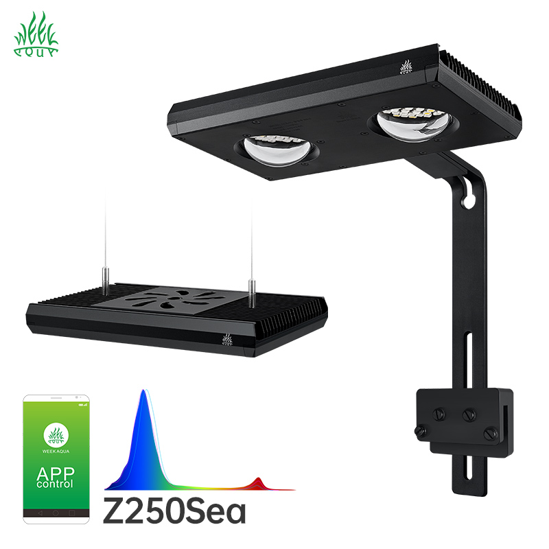 Aqua Marine Tank - Lumière LED pour aquarium Week Aqua