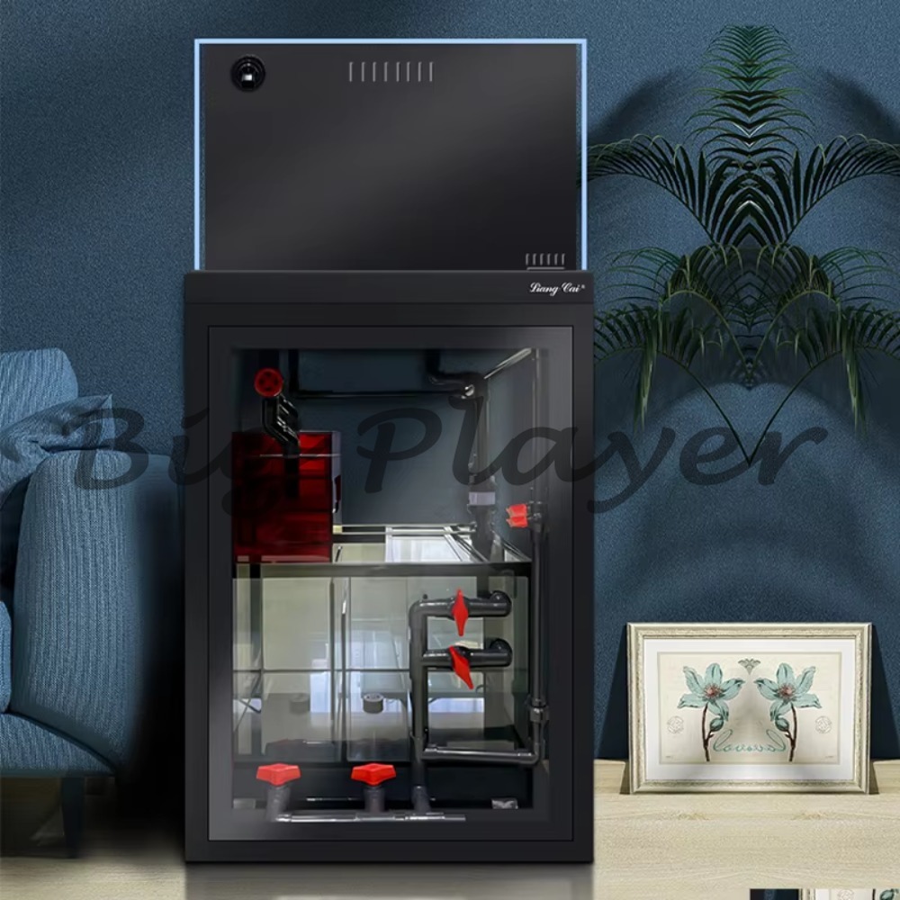 Mini aquarium en verre pour po - Aquarium Marine Salt avis et prix