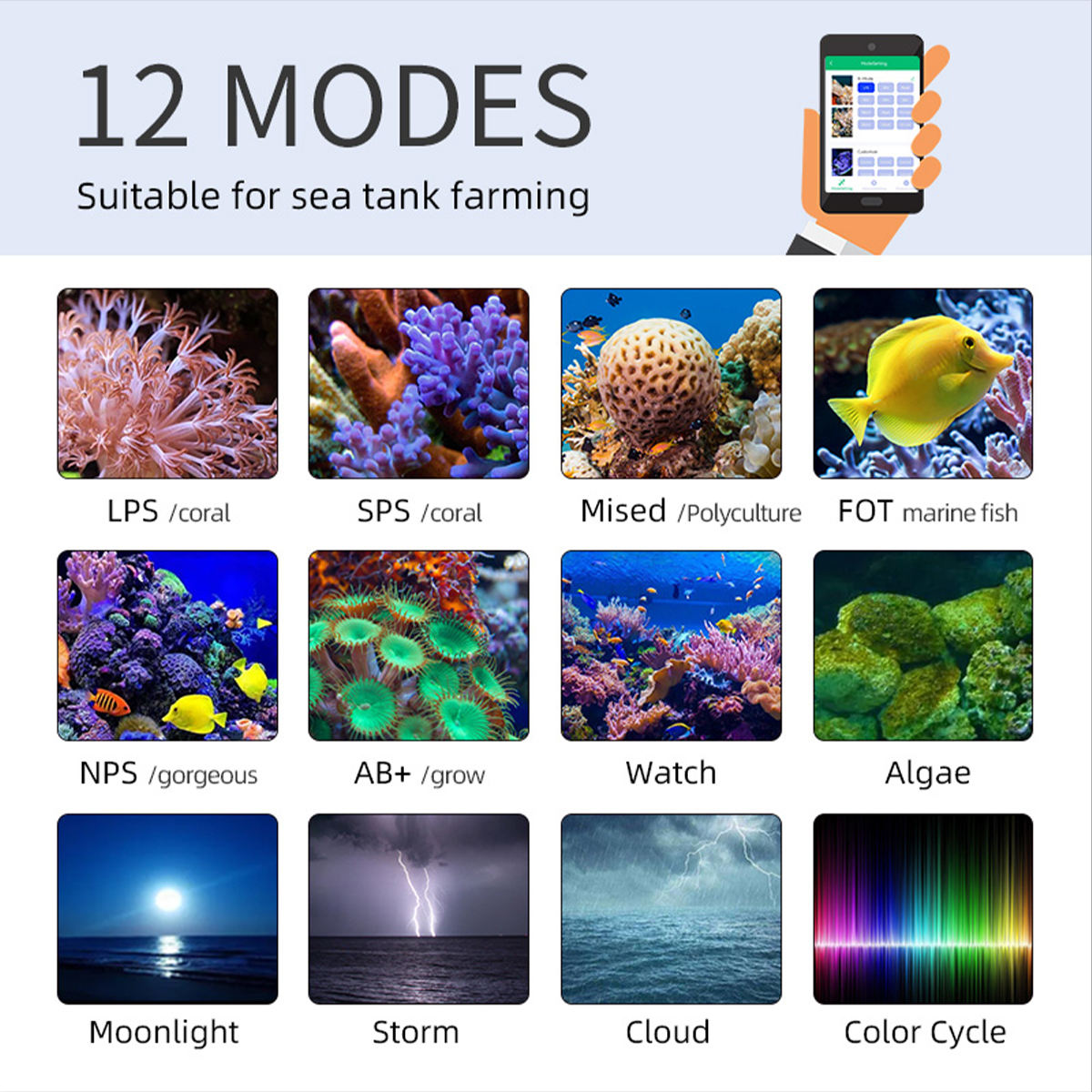 Lampe LED T95 Sea 50W à spectr - Marine Aquarium Timing avis et prix