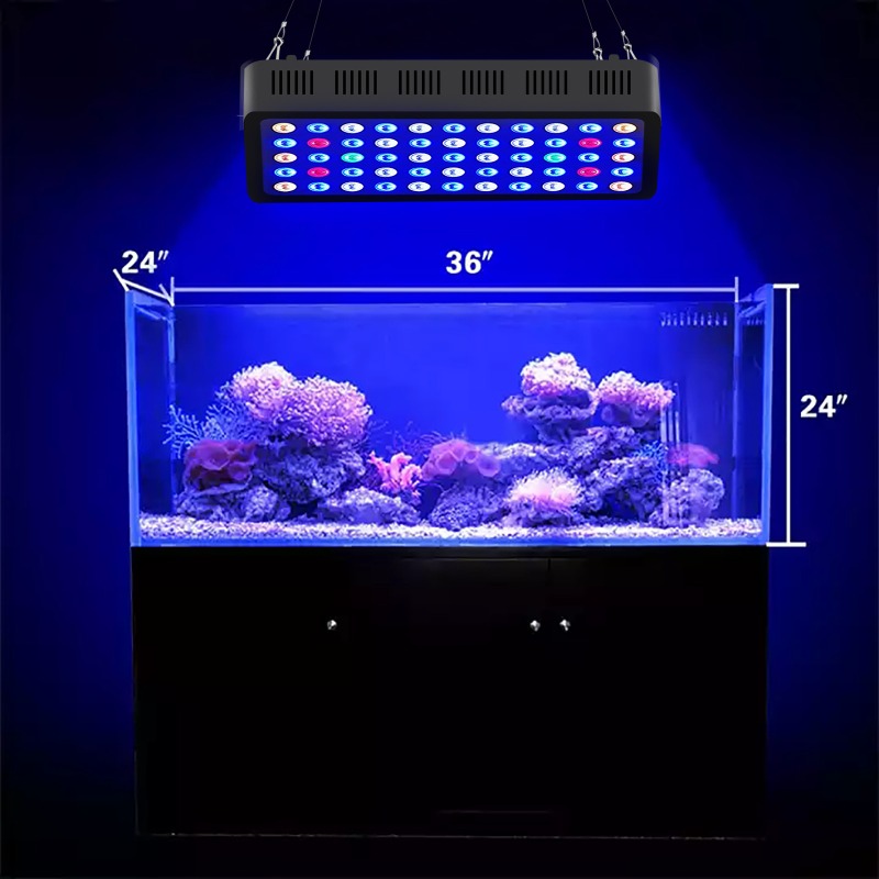 Lumière d'aquarium 165W intell - Marine Aquarium Timing avis et prix
