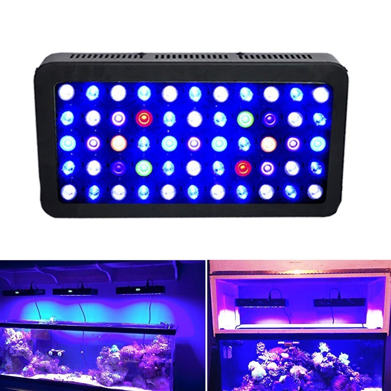 Lumière d'aquarium 165W intell - Marine Aquarium Timing avis et prix