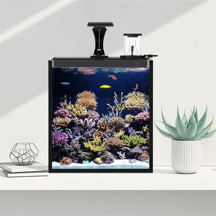 Mini réservoir de poissons d'a - Aquarium Marine Salt avis et prix