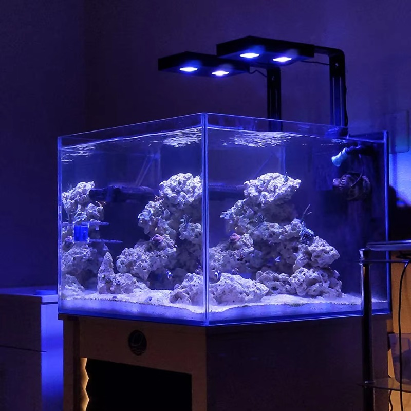Lampe LED pour aquarium haute  - Aqua Marine Tank avis et prix