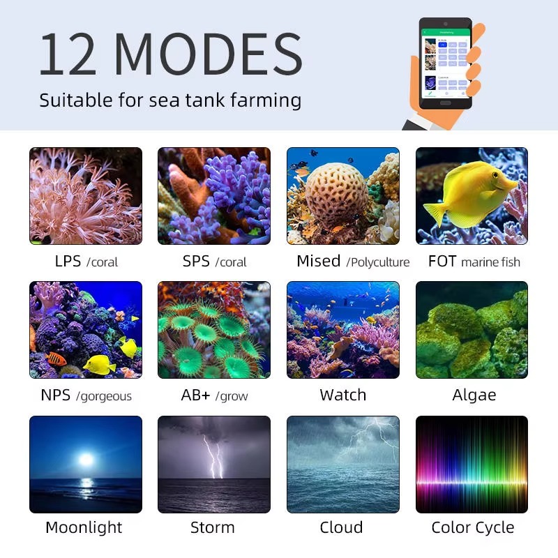Lampe LED pour récif marin Wee - Aqua Marine Tank avis et prix