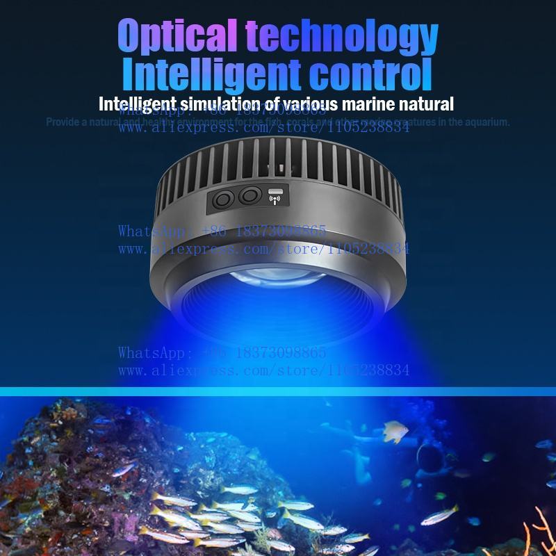 Éclairages d'aquarium marins à - Aquarium Marine Salt avis et prix