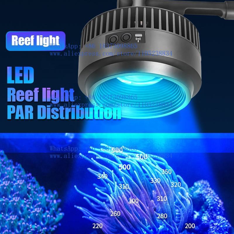 Éclairages d'aquarium marins à - Aquarium Marine Salt avis et prix
