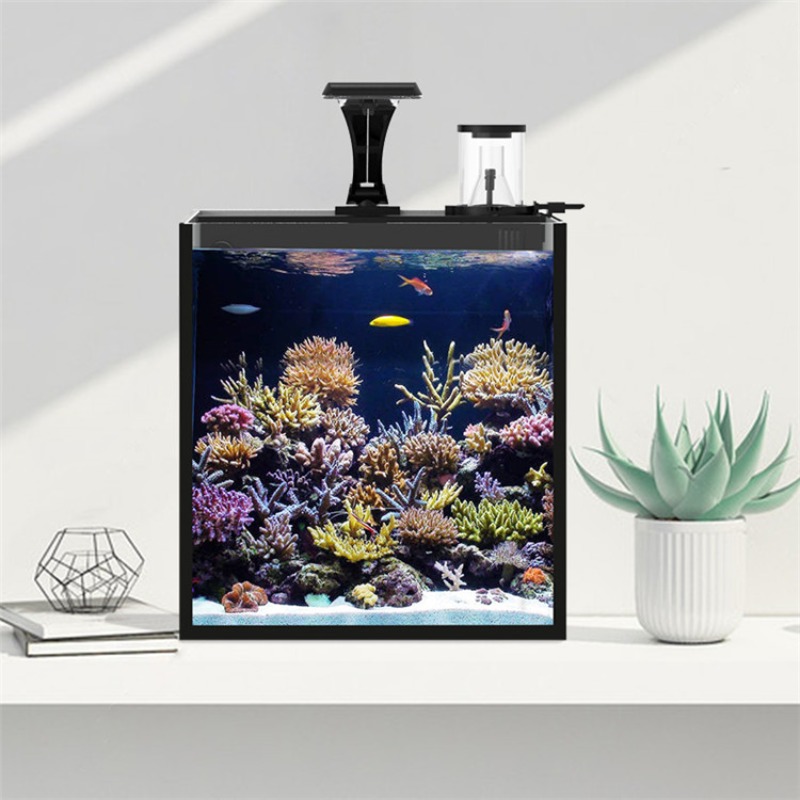 Mini aquarium marin ultra-tran - Aquarium Marine Salt avis et prix
