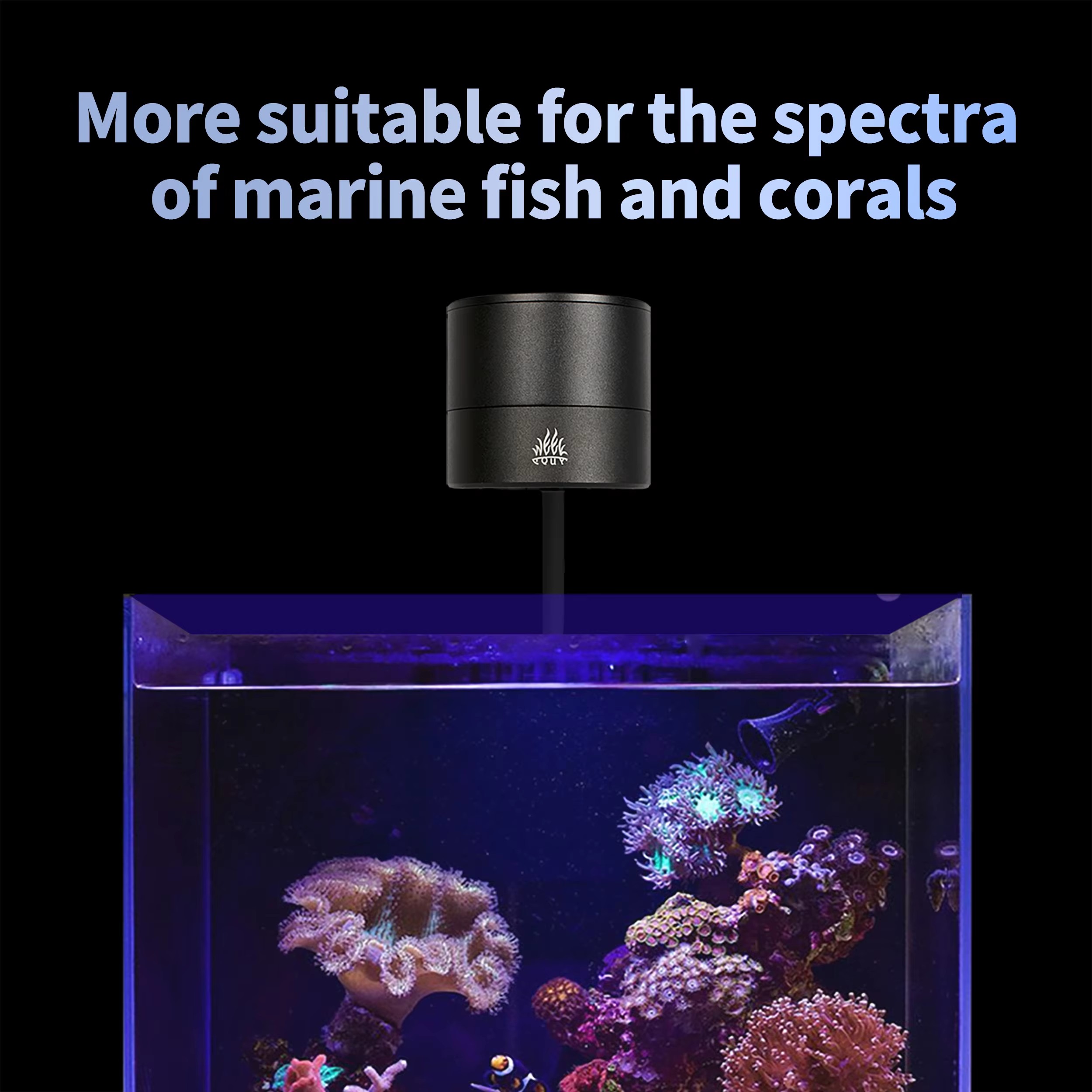 Lampe LED WEEK AQUA pour aquar - Aquarium Marine Salt avis et prix