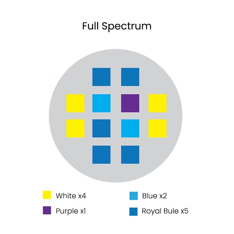 Spectra Aqua Knight V2 36W spe - Aqua Marine Tank avis et prix