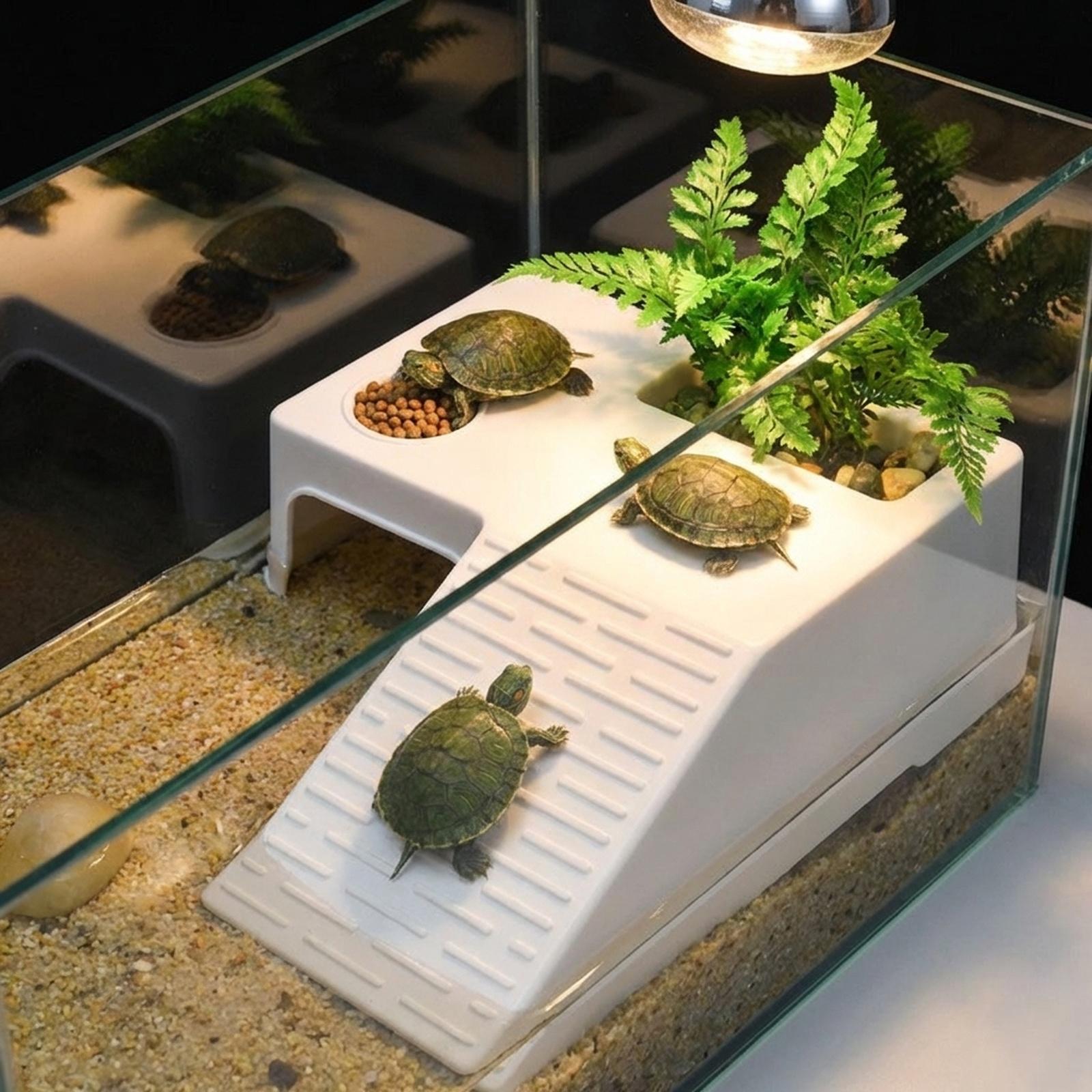 Plateforme de repos et de bain - Aquarium Innovative Marine avis et prix
