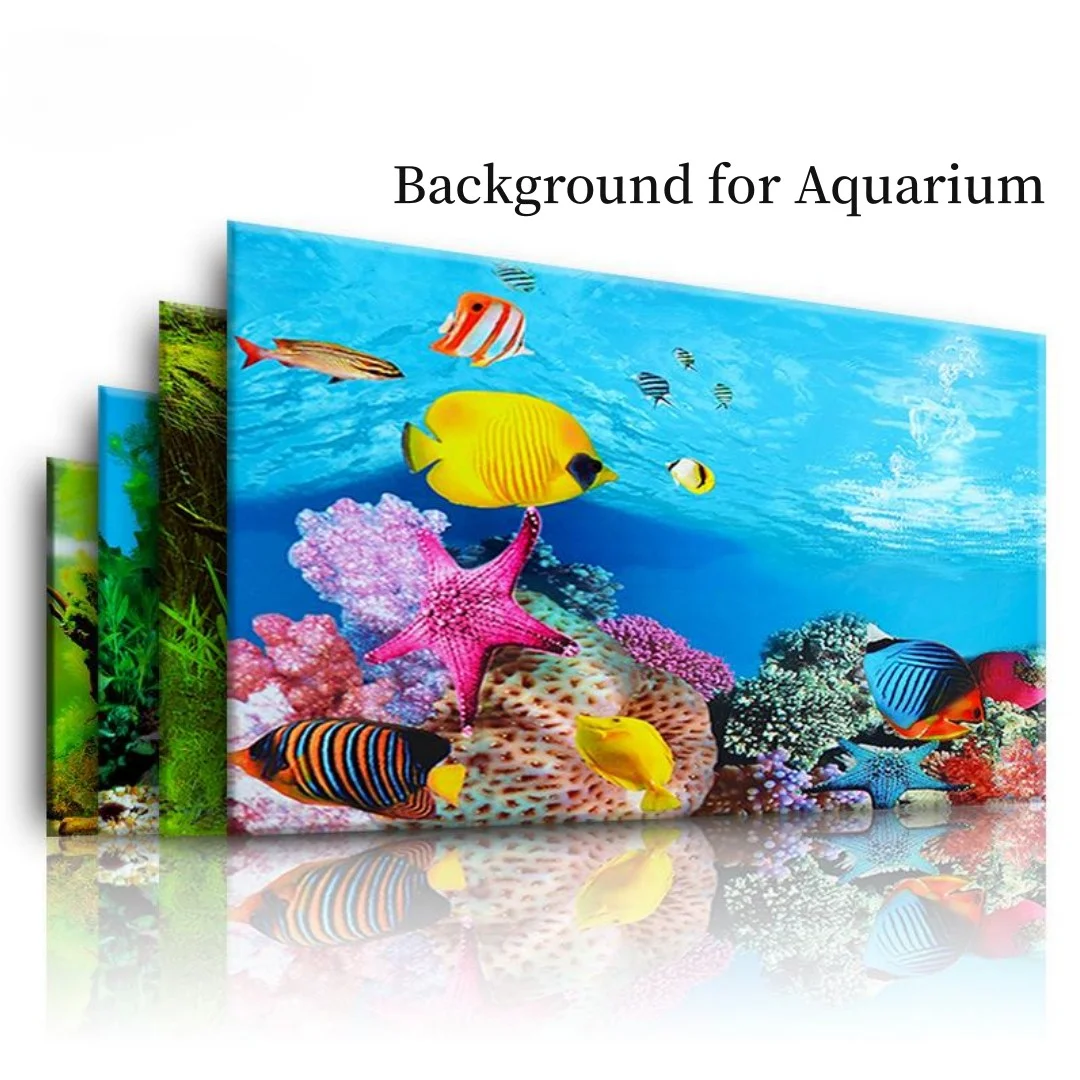 Autocollant 3D de Fond d'Aquar - Aquarium Innovative Marine avis et prix