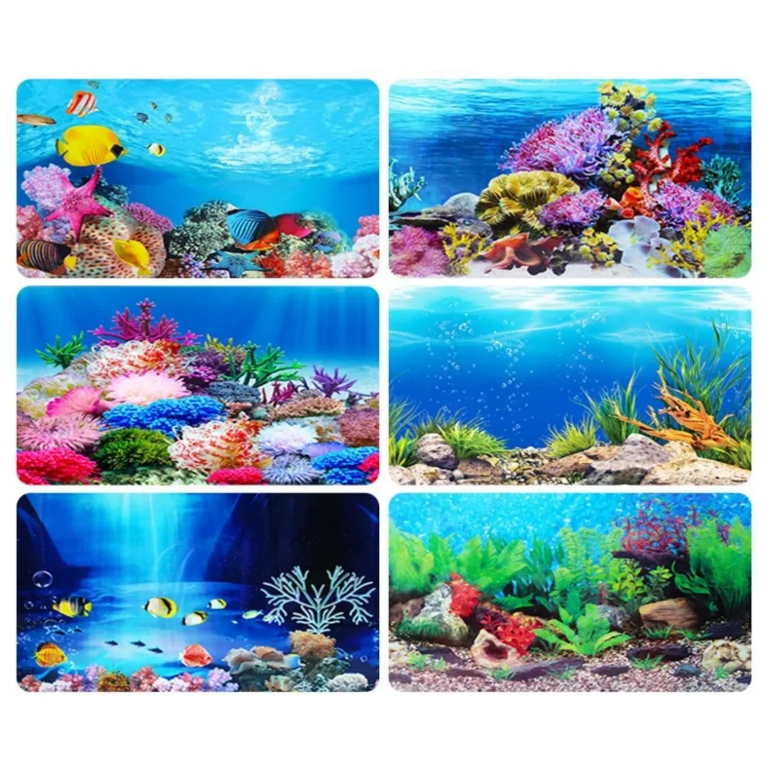Autocollant 3D de Fond d'Aquar - Aquarium Innovative Marine avis et prix