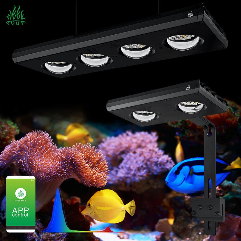Lumière LED pour aquarium Week - Aqua Marine Tank avis et prix