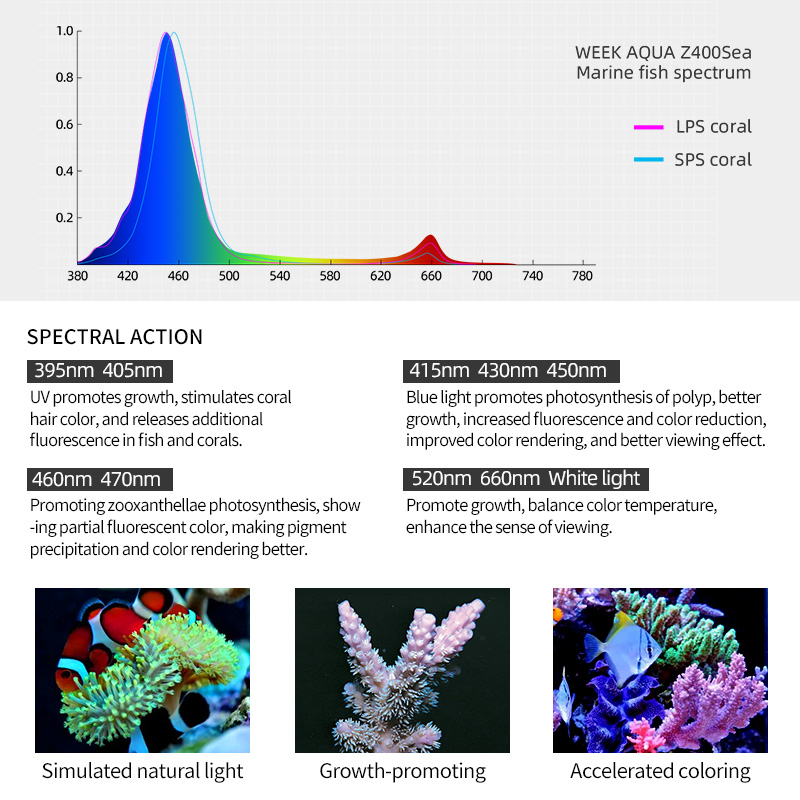 Lumière LED pour aquarium Week - Aqua Marine Tank avis et prix