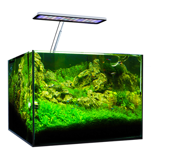 Lumière LED pour aquarium MicM - Aqua Marine Tank avis et prix