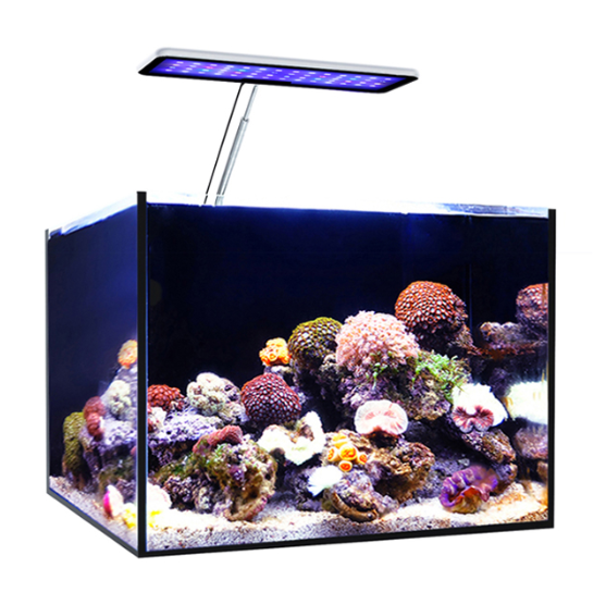 Lumière LED pour aquarium MicM - Aqua Marine Tank avis et prix