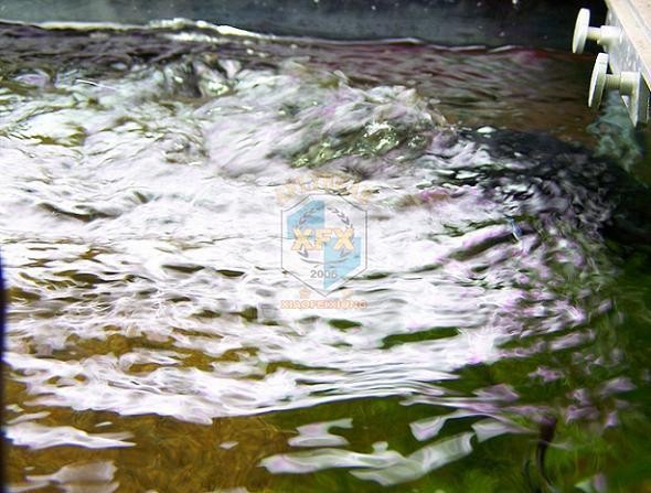 Sunsun Jvp-200 nouvelle pompe  - Aquarium Marine Salt avis et prix