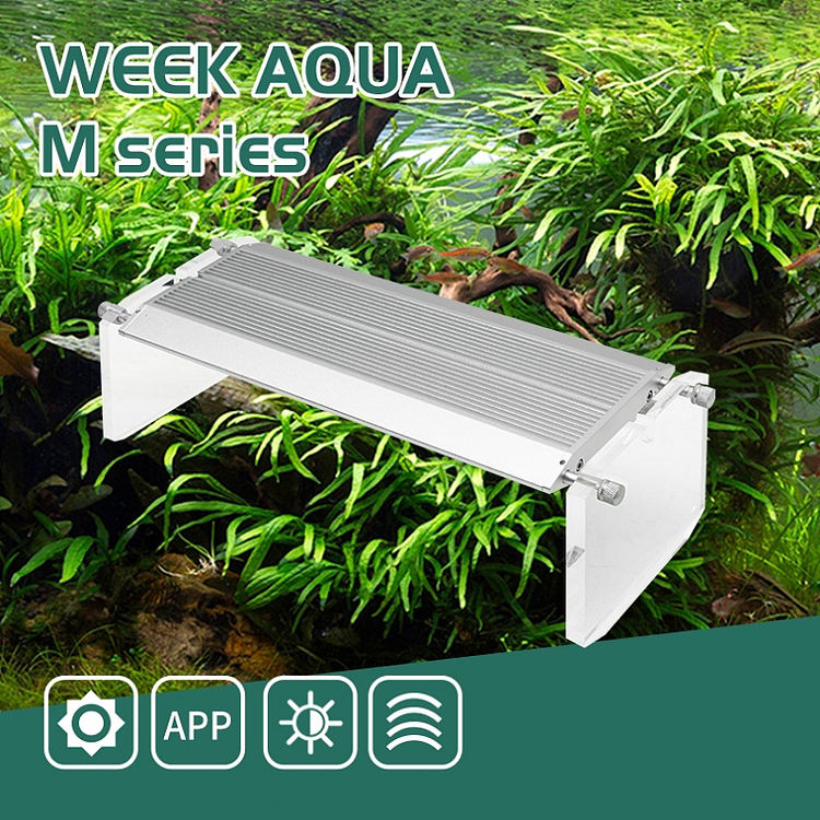 WEEK AQUA Lumière LED vive pou - Aqua Marine Tank avis et prix