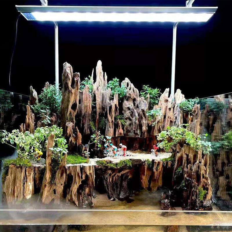 △   Décoration d'aquarium en b - Aquarium Innovative Marine avis et prix
