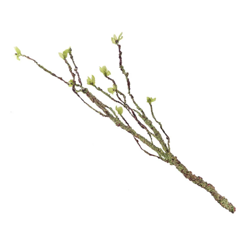 Vignes décor Branches d'escala - Aquarium Innovative Marine avis et prix